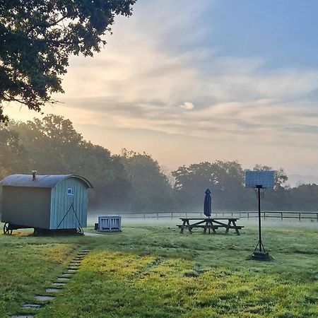 Skylark Shepherds Hut ロイヤル・タンブリッジ・ウェルズ エクステリア 写真