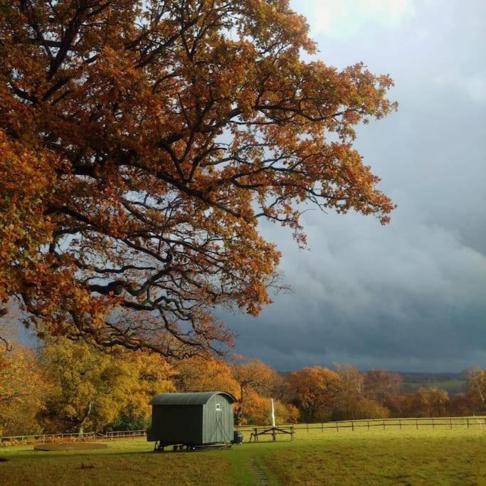 Skylark Shepherds Hut ロイヤル・タンブリッジ・ウェルズ エクステリア 写真